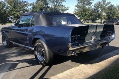 mustang1