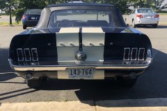 mustang2