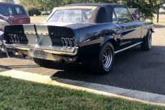 mustang3