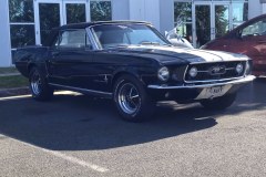 mustang4