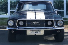 mustang5