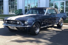 mustang6